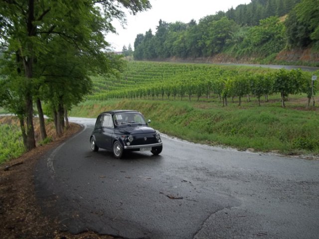 Fiat 500 in prova speciale (Cassine 2015)